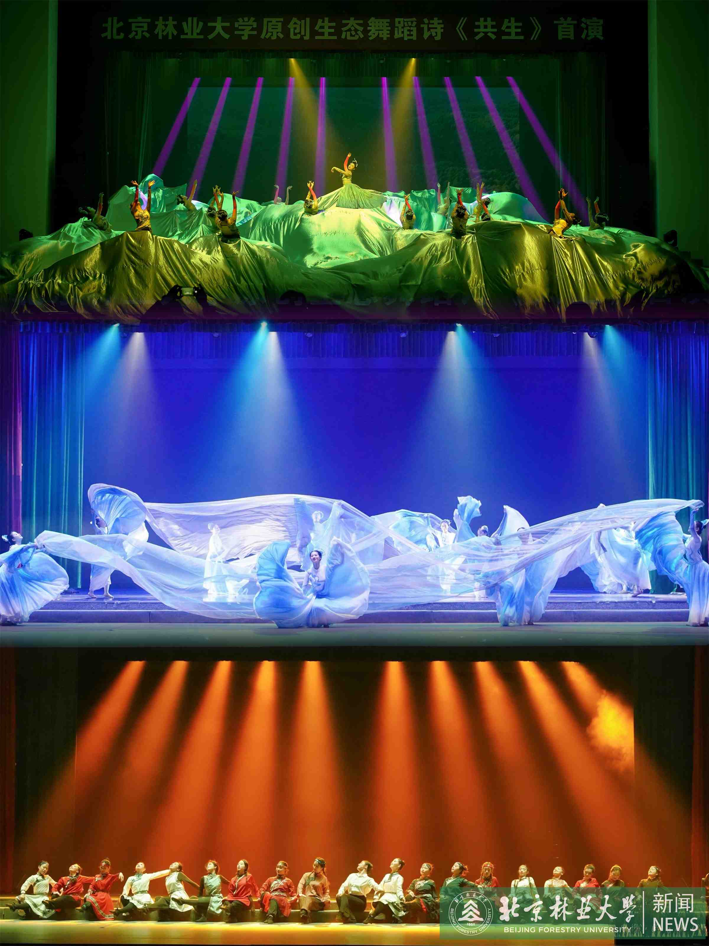 北林大原創生態舞蹈詩《共生》 (2).jpg