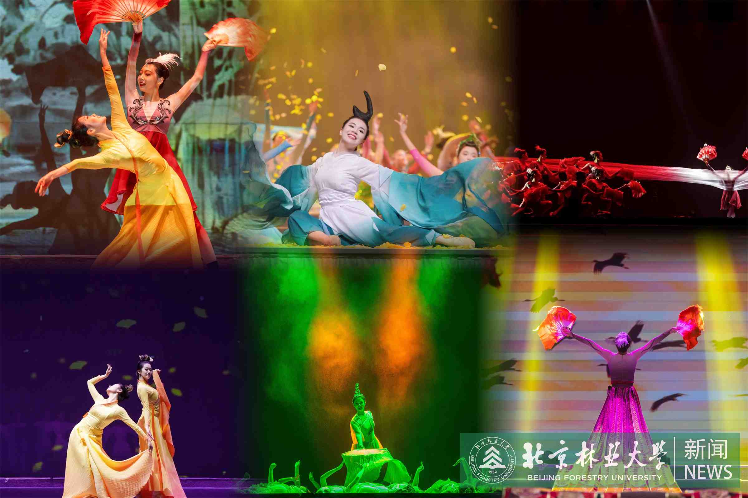 北林大原創生態舞蹈詩《共生》 (1).jpg